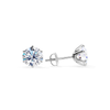 Chic White Gold Earrings Tera